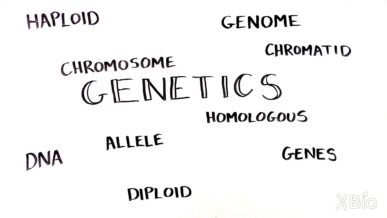 Keeping Track of Your DNA