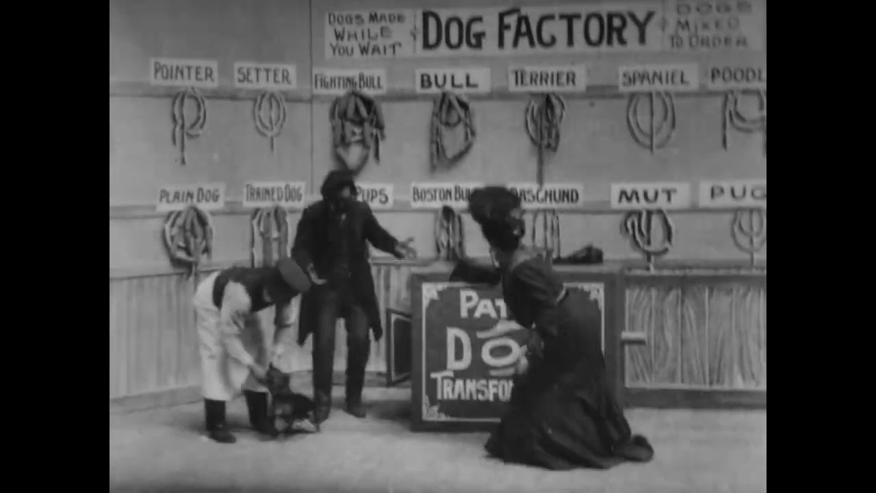 Dog Factory (1904) Edison