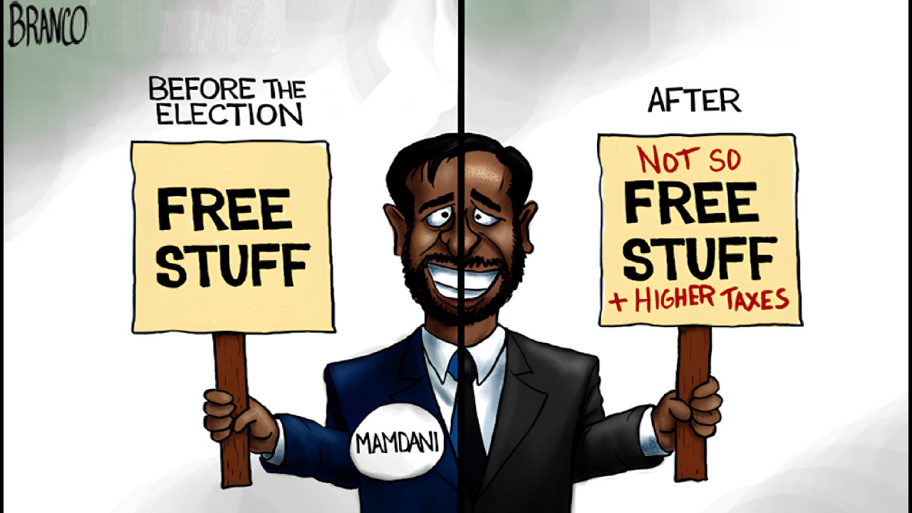 Political Cartoons vs Common Sense | Woke Democrats and the Culture War Spin