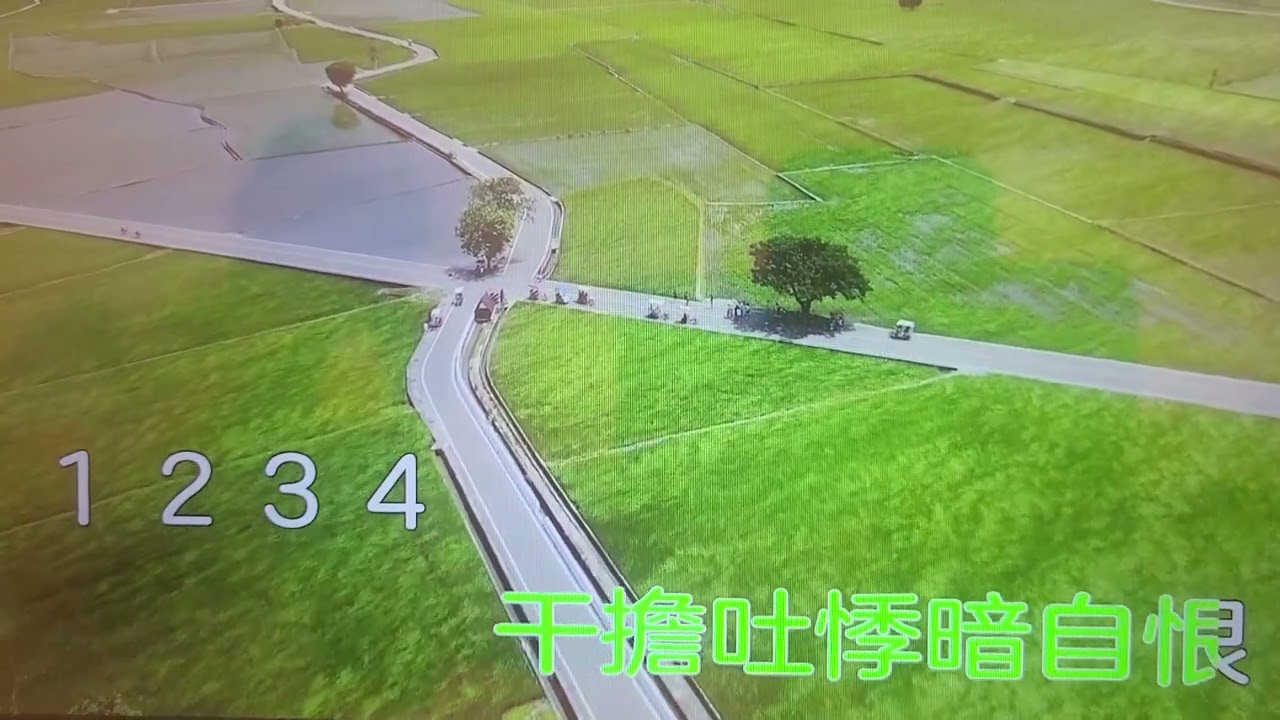 口琴演奏：送君情淚、女調