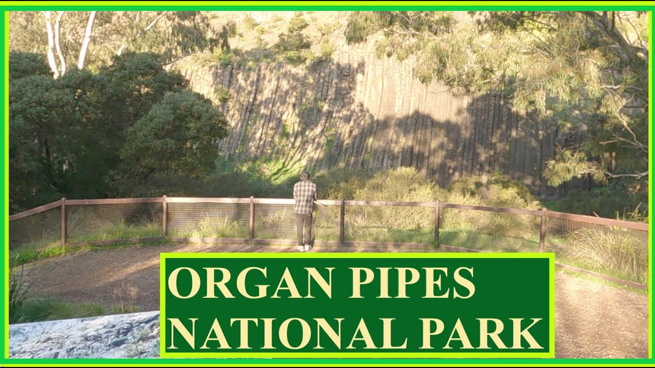 Organ Pipes National Park #park #nature #nationalpark
