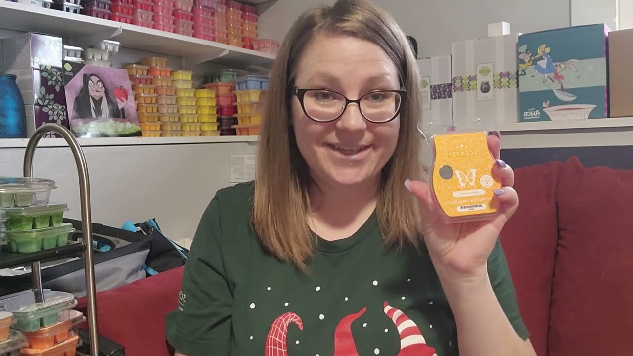 Scentsy Haul featuring Fall Fairy Tale Warmer 