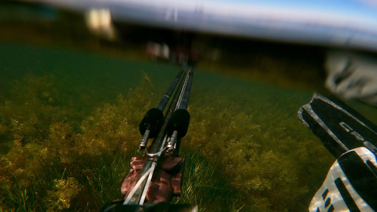 FLATHEAD Spearfishing 2023 Edition