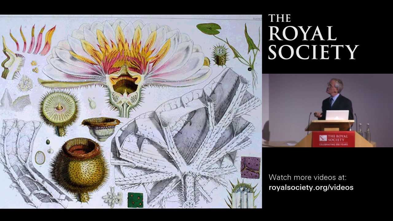 The Origins of Flowers