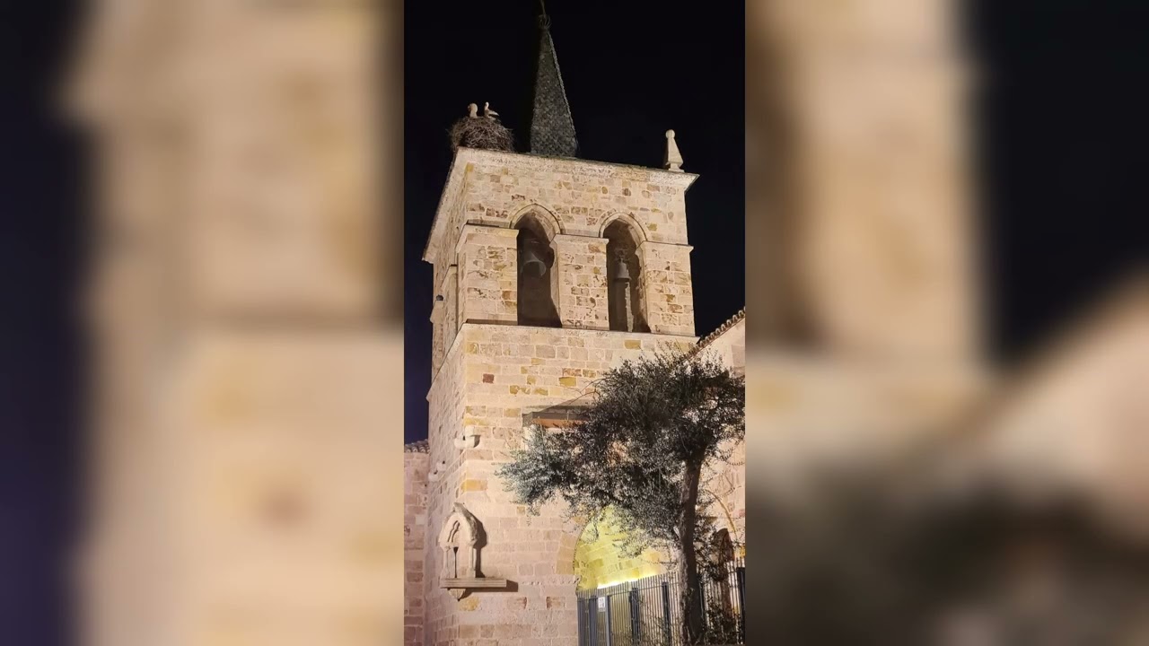 Zamora de noche 