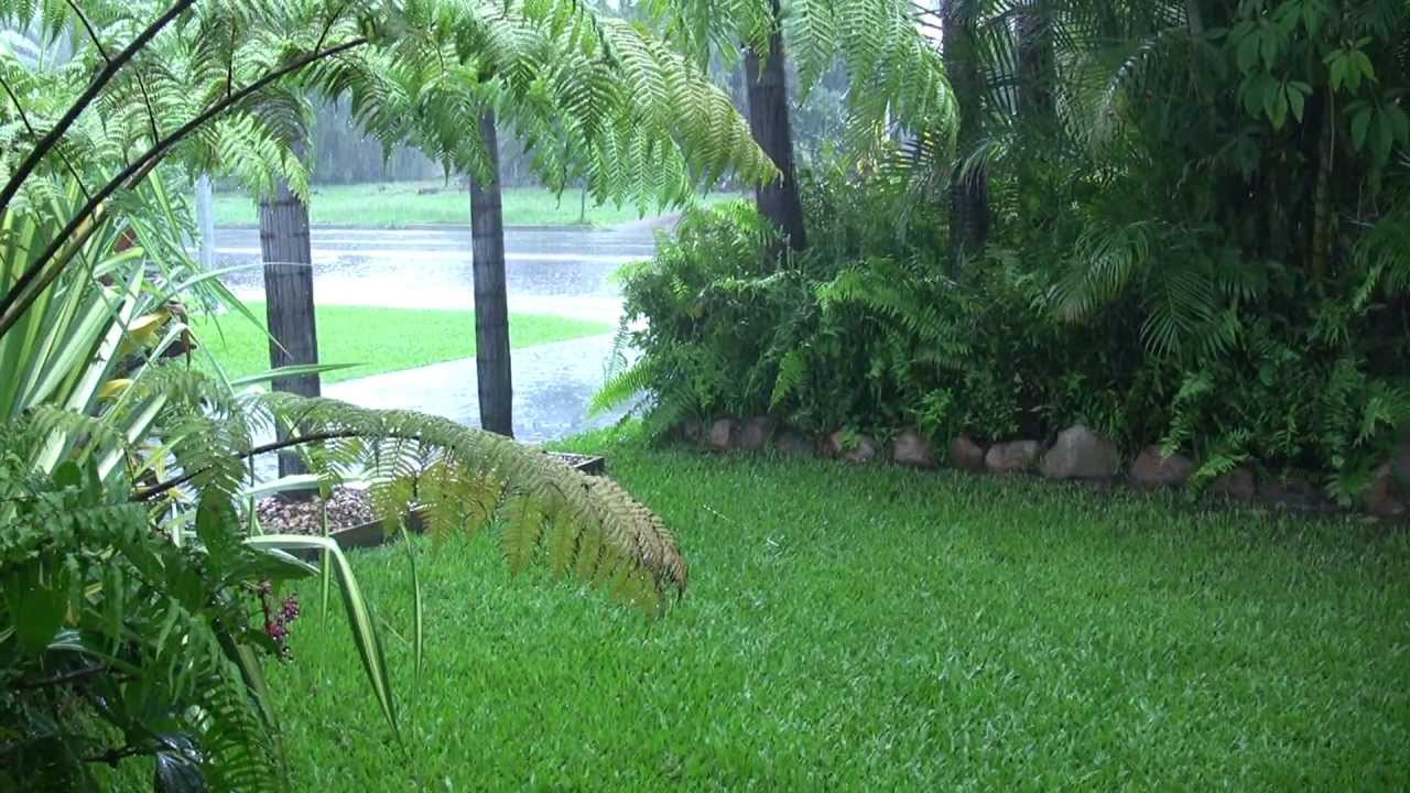 North Queensland Rain