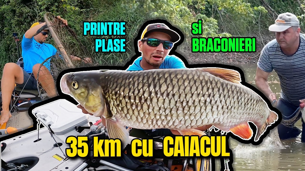 35km de PROVOCARI intr-o SINGURA ZI cu CAIACUL pe un RÂU SǍLBATIC ...