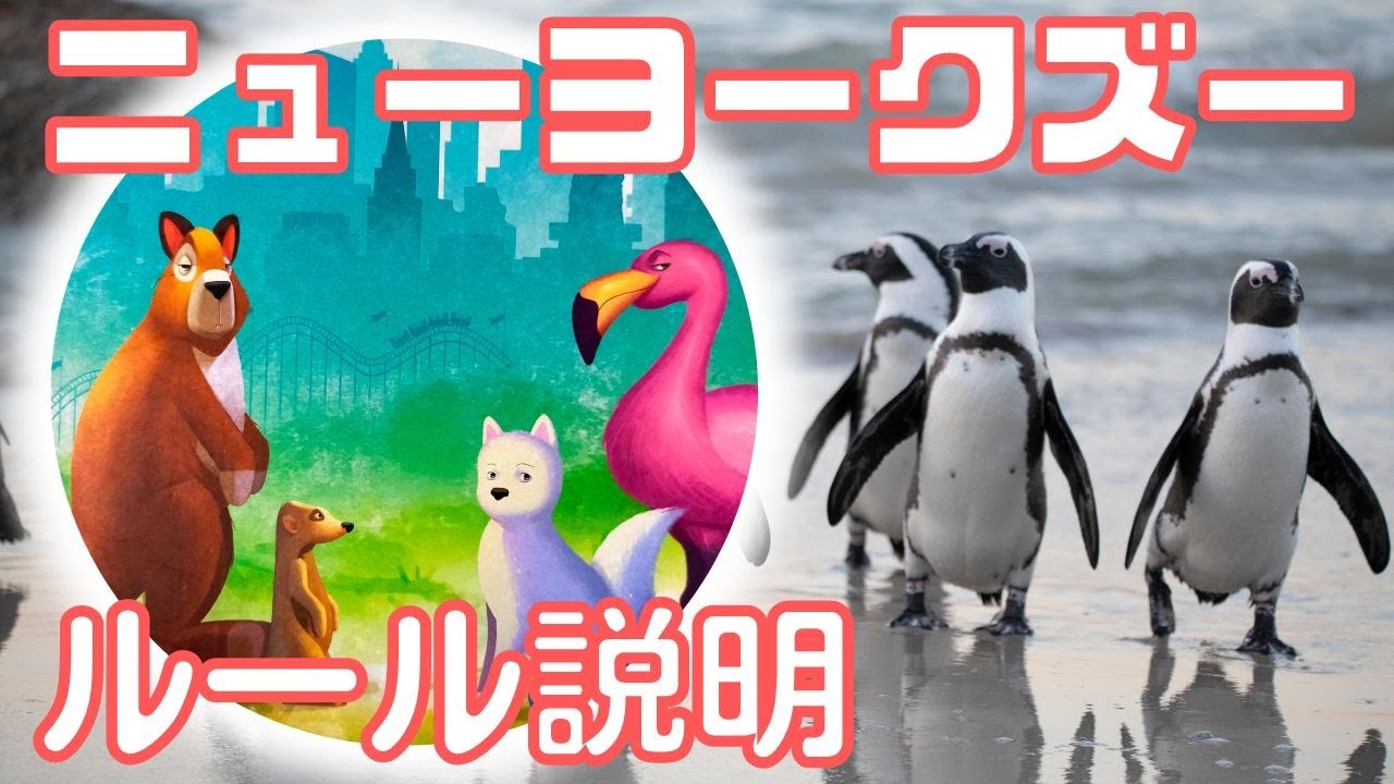 ニューヨークズー　ルール説明動画