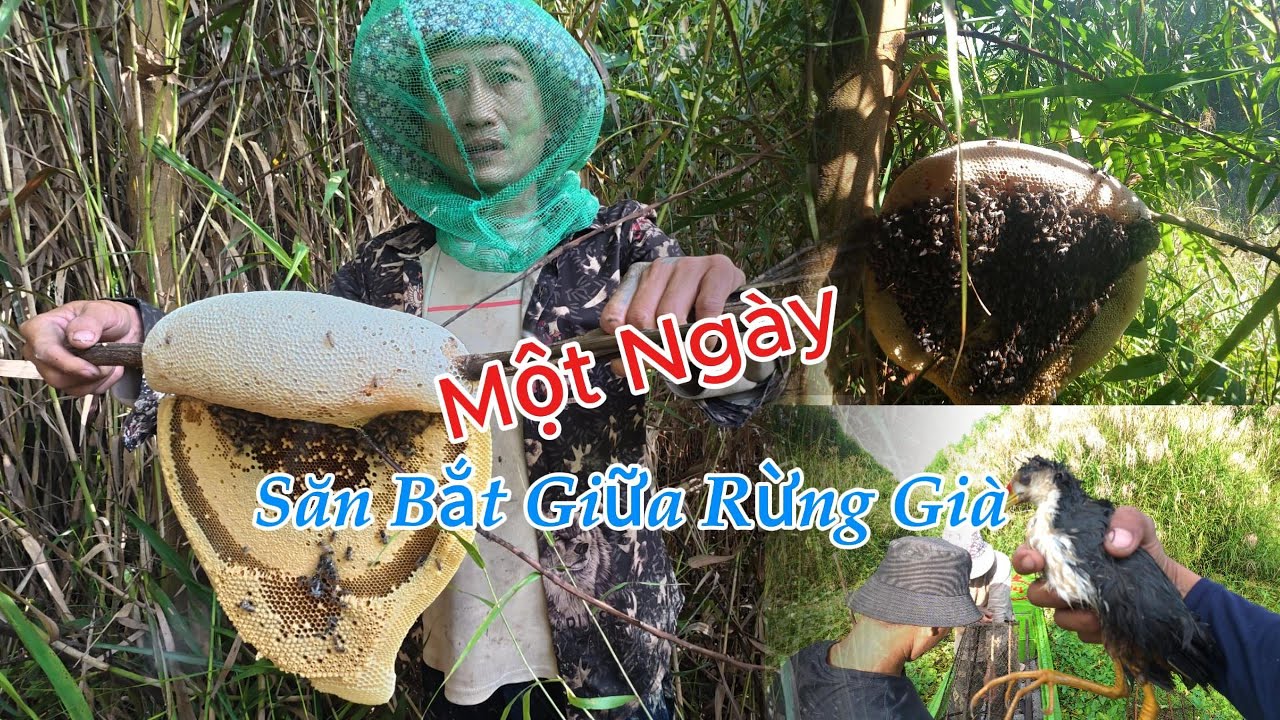 Trúng Luồng Ong Ruồi'' Chiều Lai Rai Với Nồi Cháo Thơm Nức Hương Rừng'' Ký Sự Rừng U Minh - Tập 14