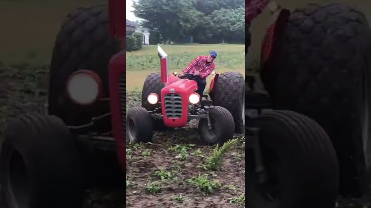 Old tractor mf135 #massey135 #mf135 #oldtractors #tractorvideo #trakt&ouml;r