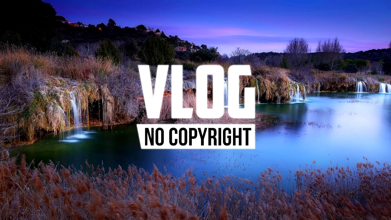 Xad - Birds (Vlog No Copyright Music)