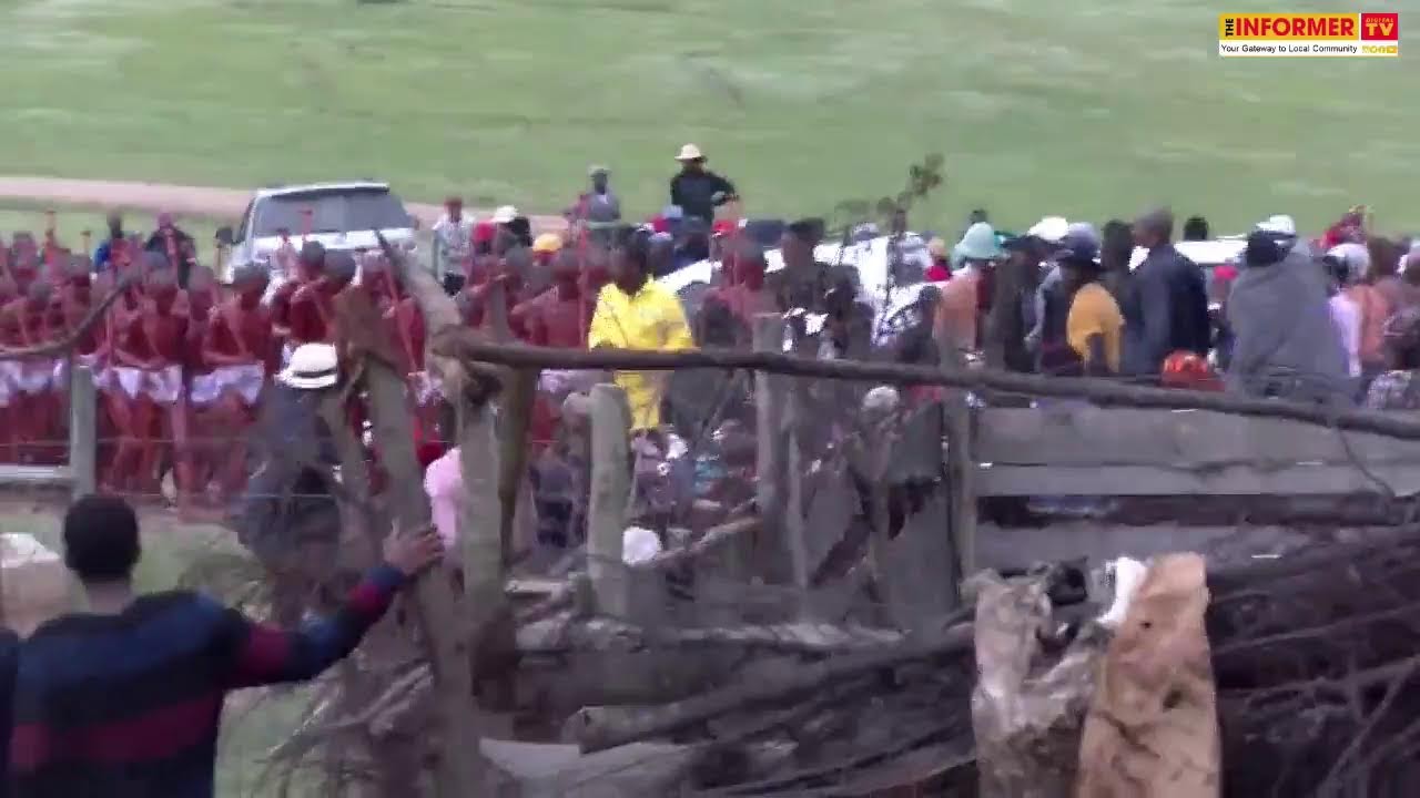IMatatiele ibuyise amadodana ayi 3500 ephila entabeni
