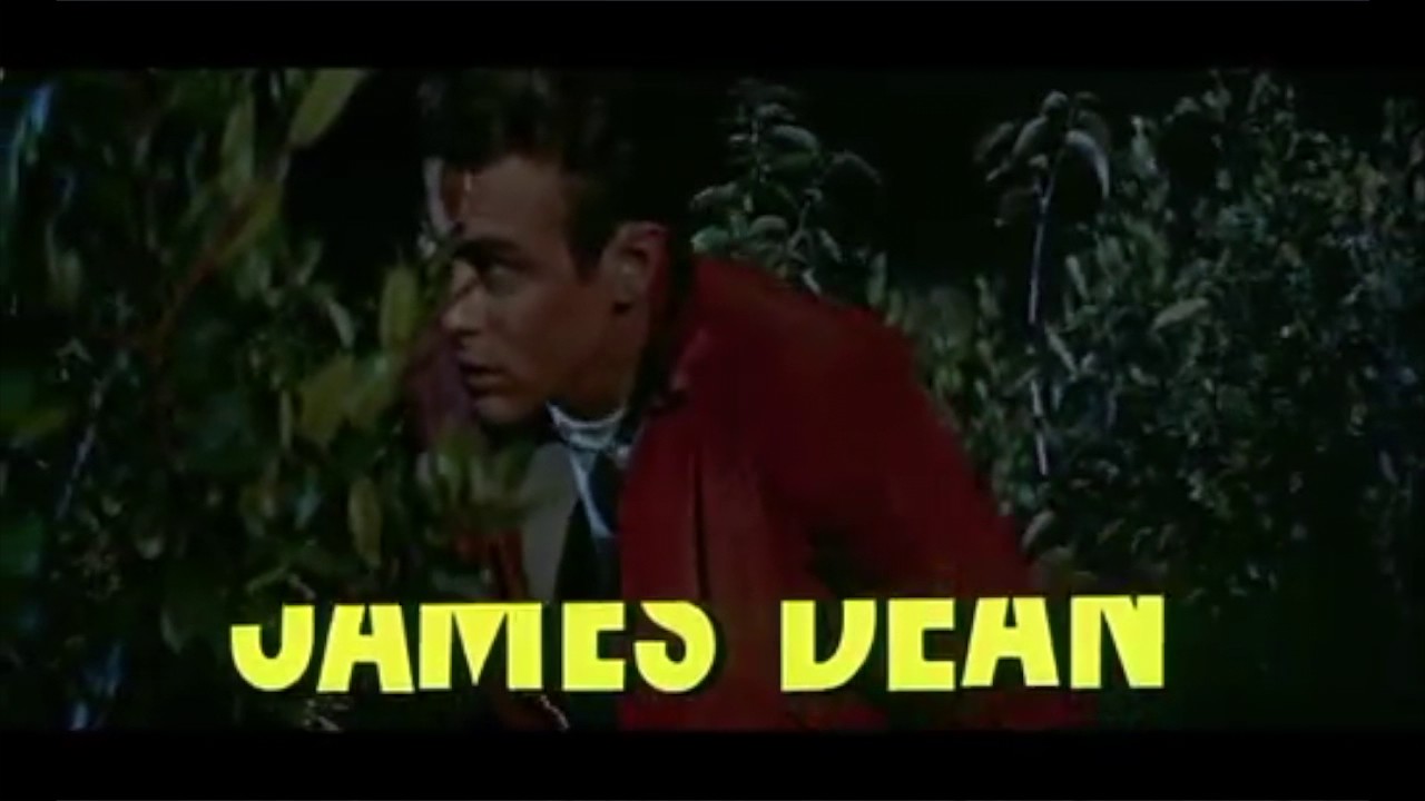 James Dean Born to Die