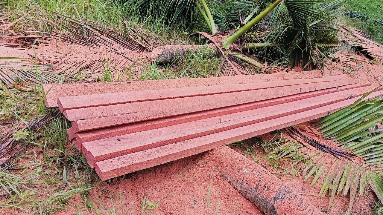 Cutting Down The Oldest Coconut Tree! Turning It Into Coco Lumber | Dreamland Farm Episode 3
