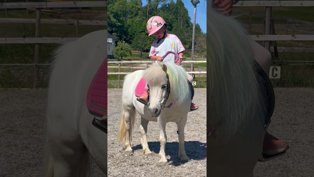 Ella's second riding lesson with her pony😍👏🏻 #pony #kids #horse