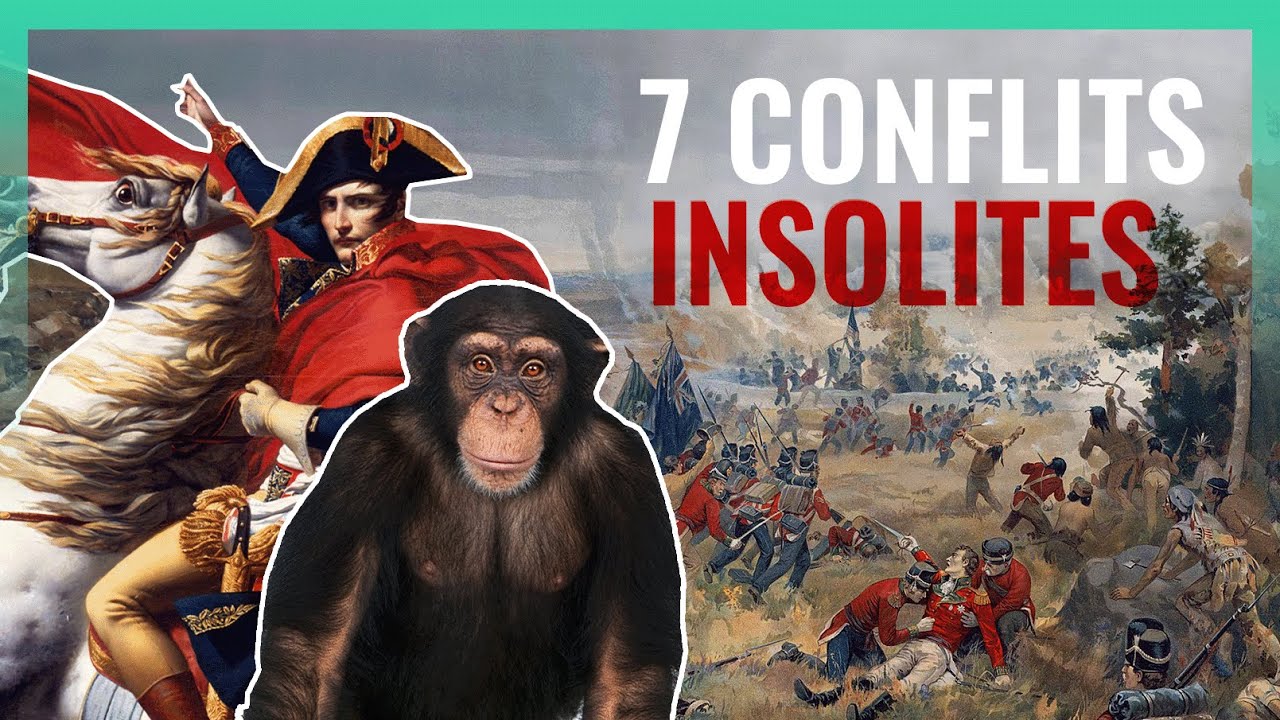 7 Conflits TOTALEMENT  absurdes !