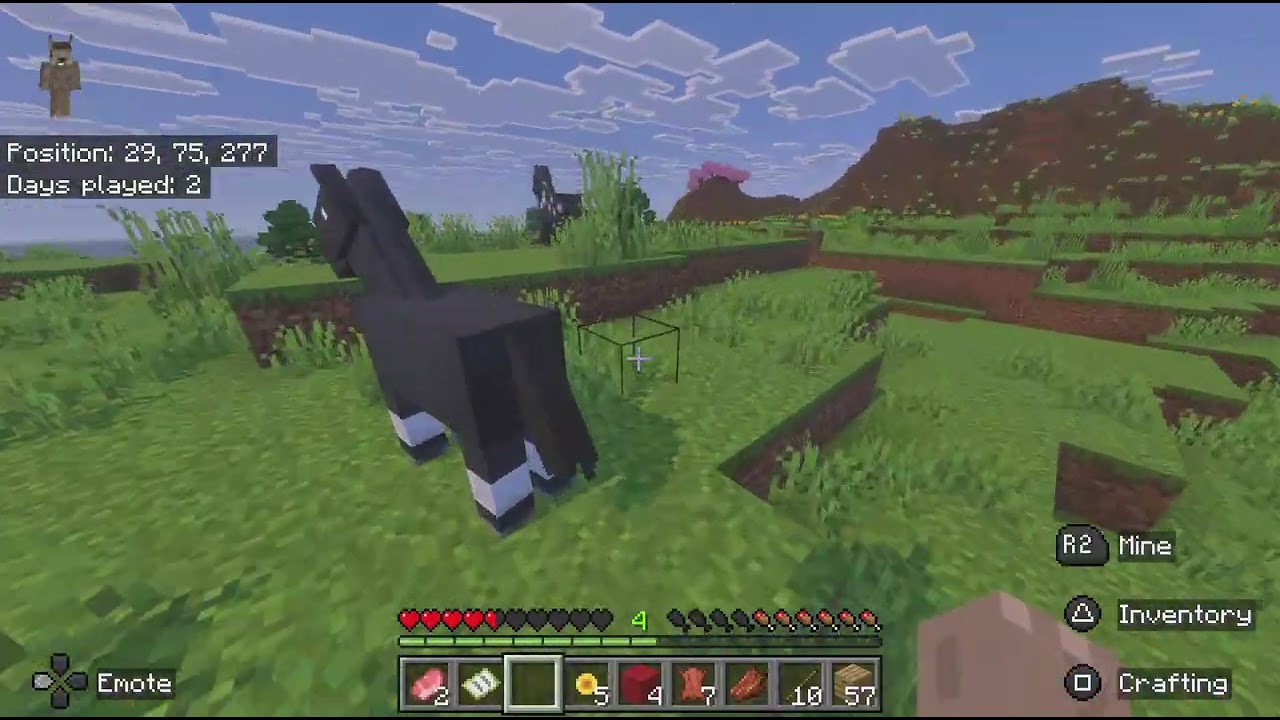 Minecraft_2026 02 10