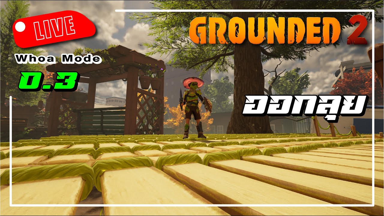 Grounded2 : 0.3 Live11 หาการ์ดทองกันดีฟ่า