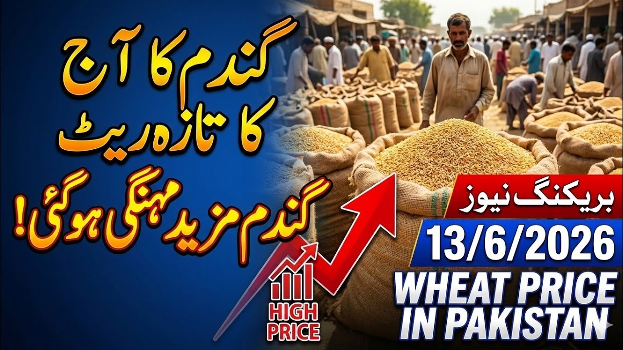 Whaet rate in Pakistan / Gundam rate in Pakistan / گندم کا آج کا تازہ ریٹ / پاکستان میں گندم کا ریٹ