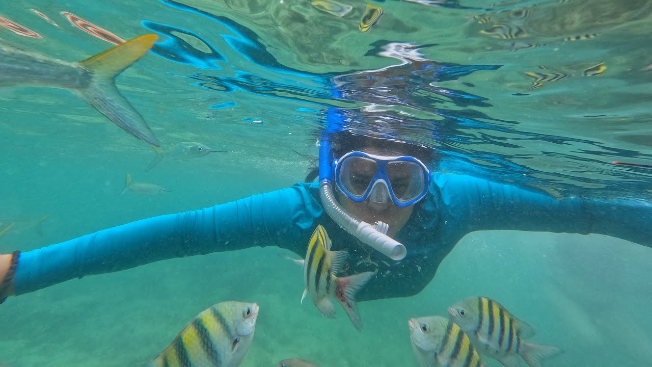 SNORKELING EN PLAYA BLANCA,ISLA BARÚ(4K)