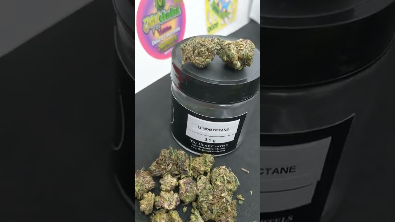 ⛽🤤💨Hemp Cartel's 🍋 Lemon Octane & Orange 🍊 Diesel & GMO cookie cart💨🤤⛽