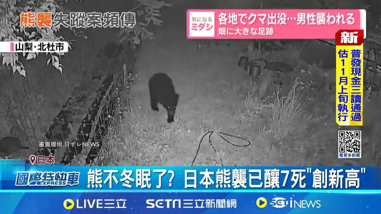 拍照秒懂熊爪震撼威力 日網友:是金鋼狼? 拍照秒懂熊爪震撼威力 日網友:是金鋼狼? 日本溫泉員工