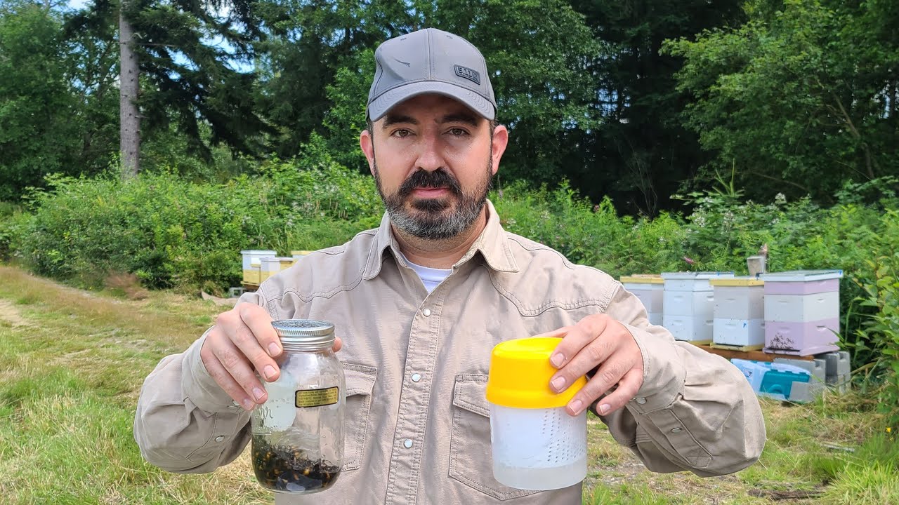 Varroa Mite Alcohol Wash