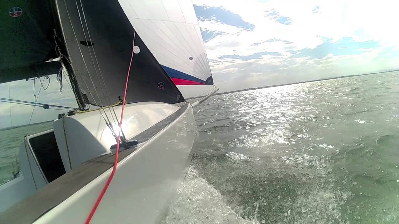 Leech 650