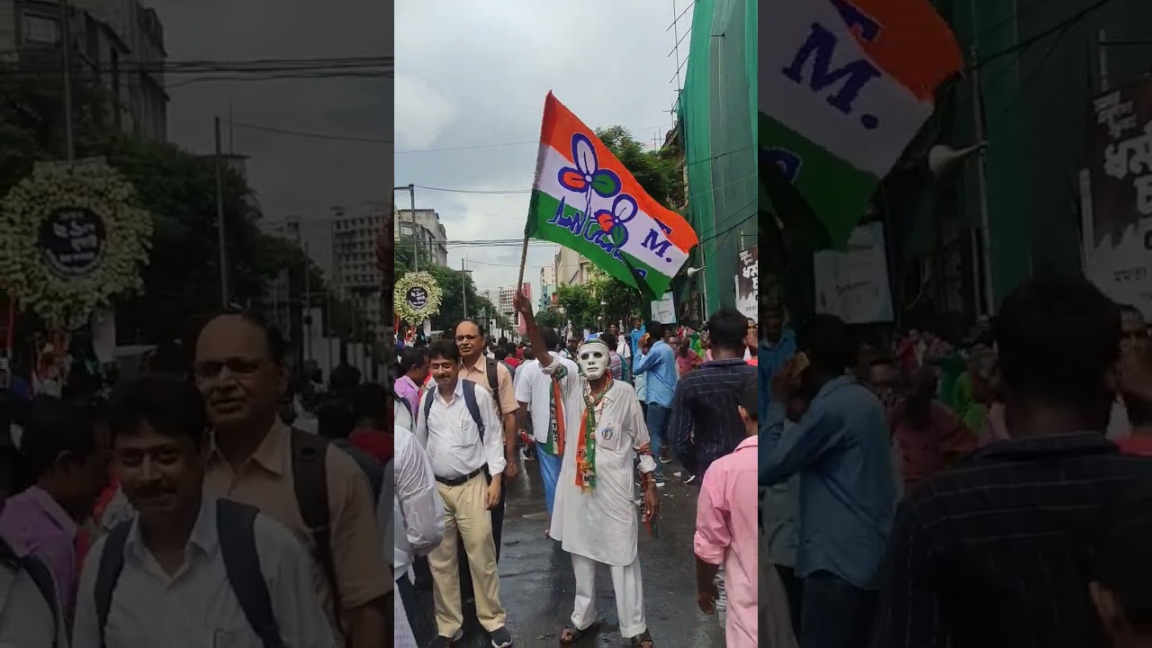 👍👍👍 #tmc #tmcwestbengal