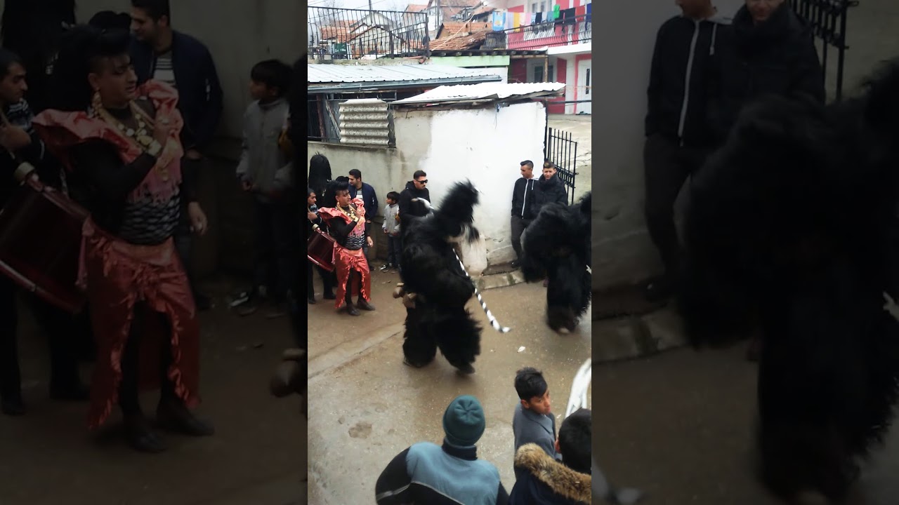 Babari 2018
