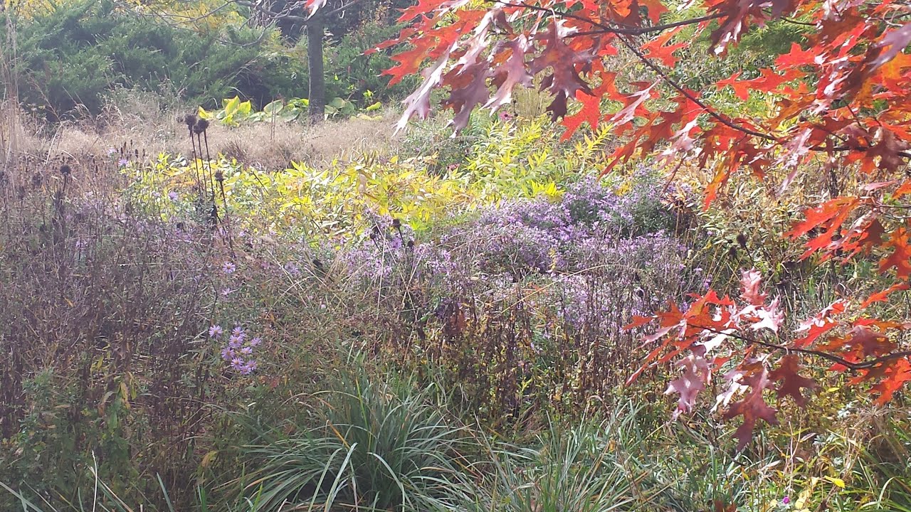 Garden Design Strategies!  Episode #224