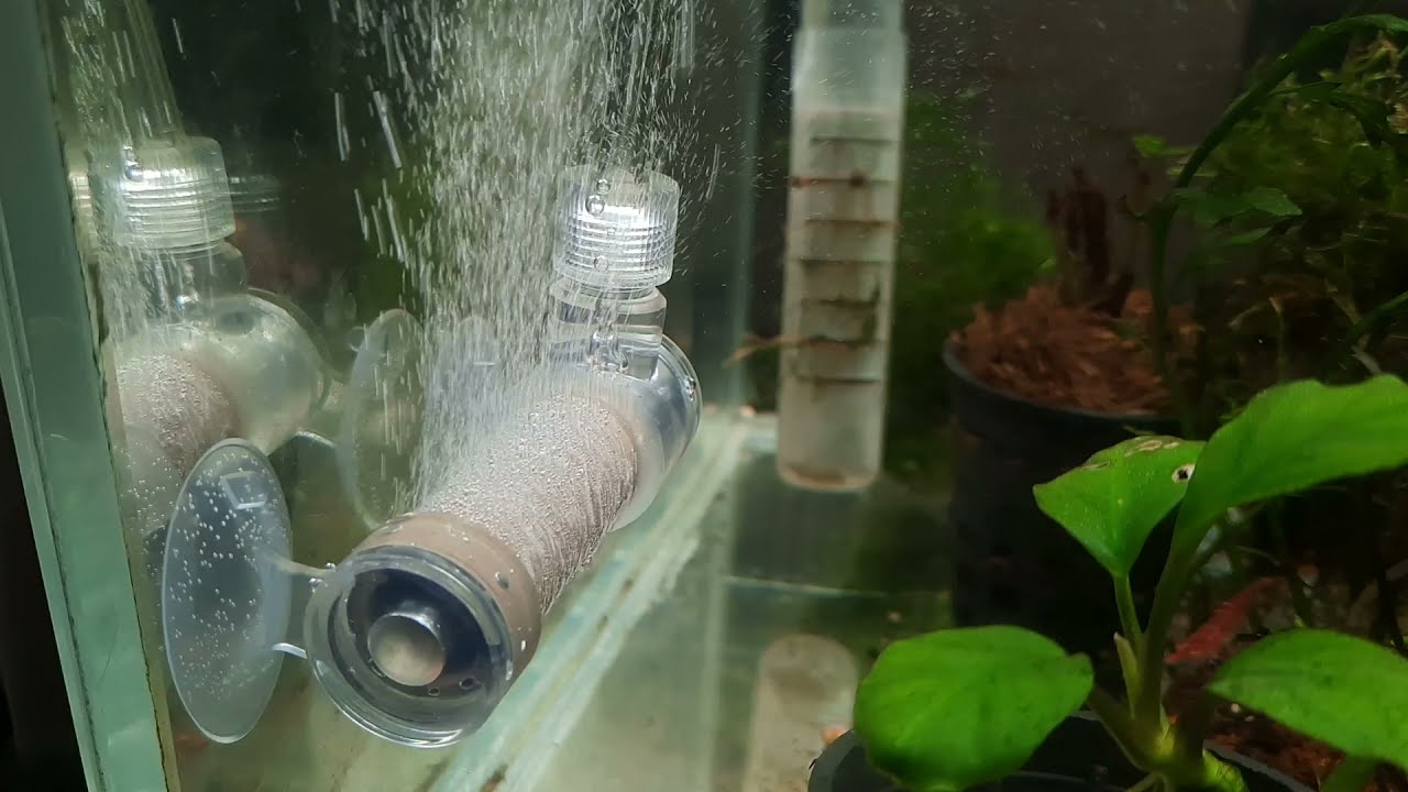 THE BEST CO2 DIFFUSER? Co2ART Bazooka!