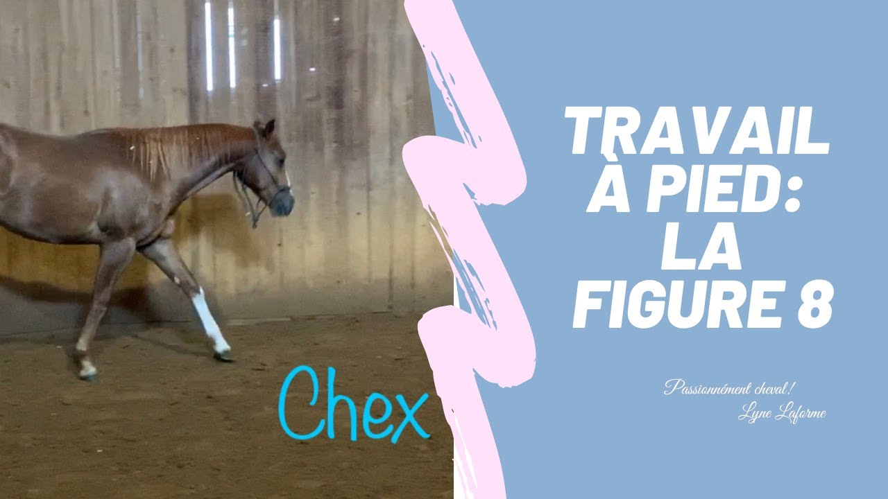 Le travail à pied : la figure 8 et ses bienfaits. Développer le synchronisme !
