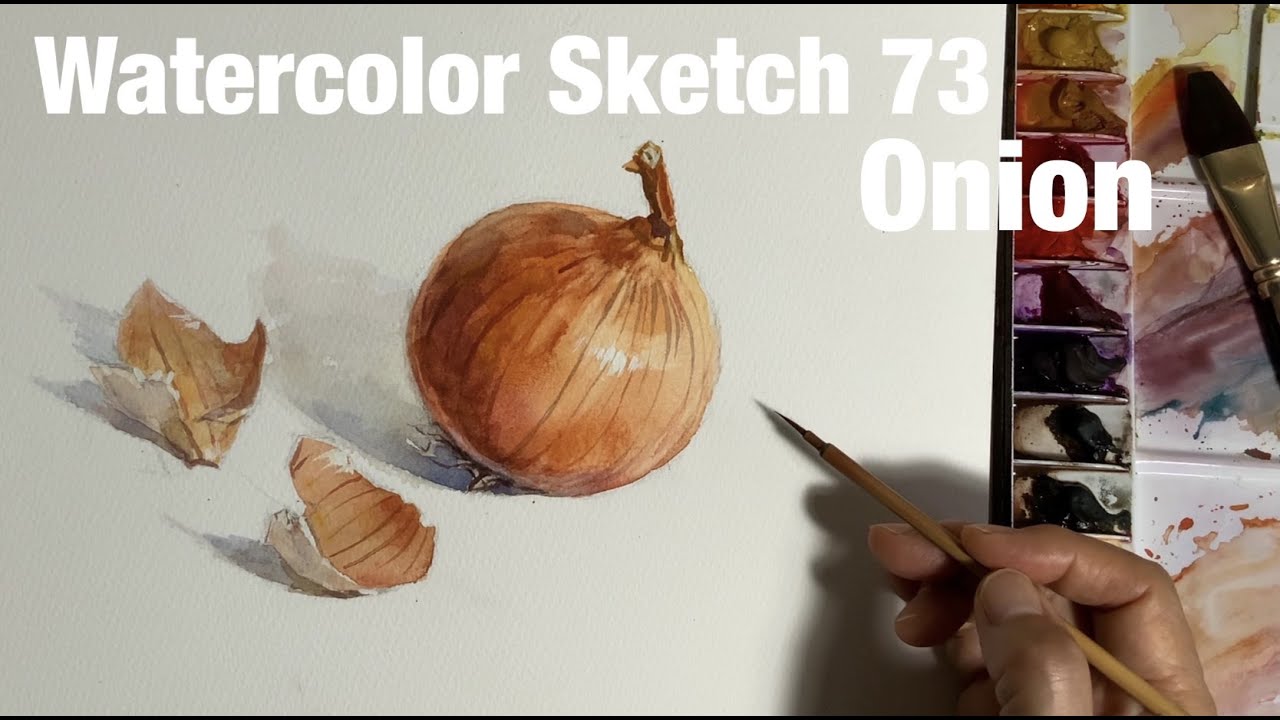 Watercolor Sketch 73 / Onion   水彩スケッチ73 / 玉ねぎ