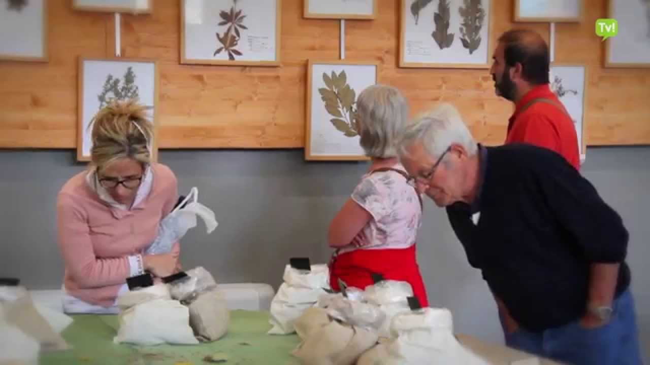 FIRA DE LES HERBES I FLORS DE MUNTANYA - VALLDECAMPRODONTV.COM