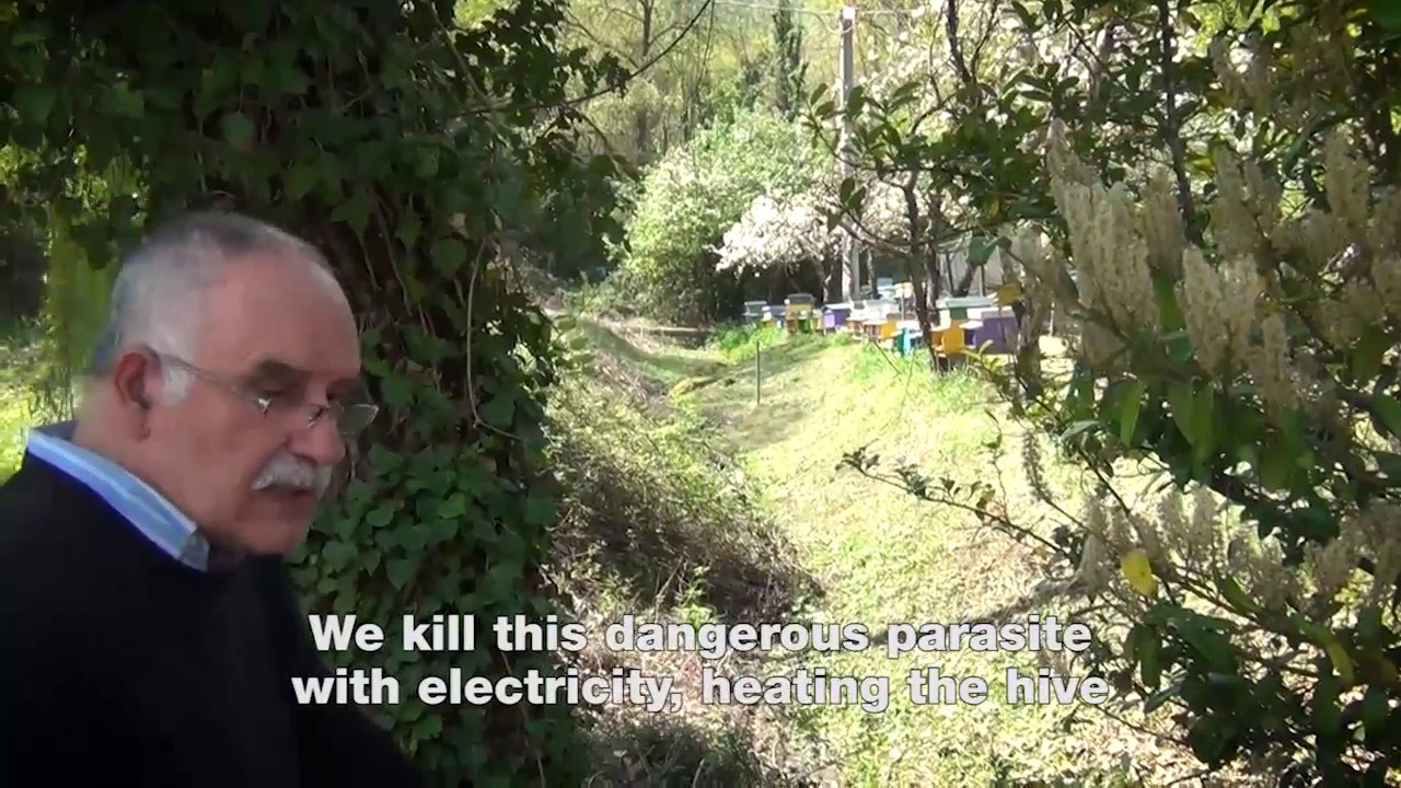 Intervista  presso l'Azienda Apistica Montecorona