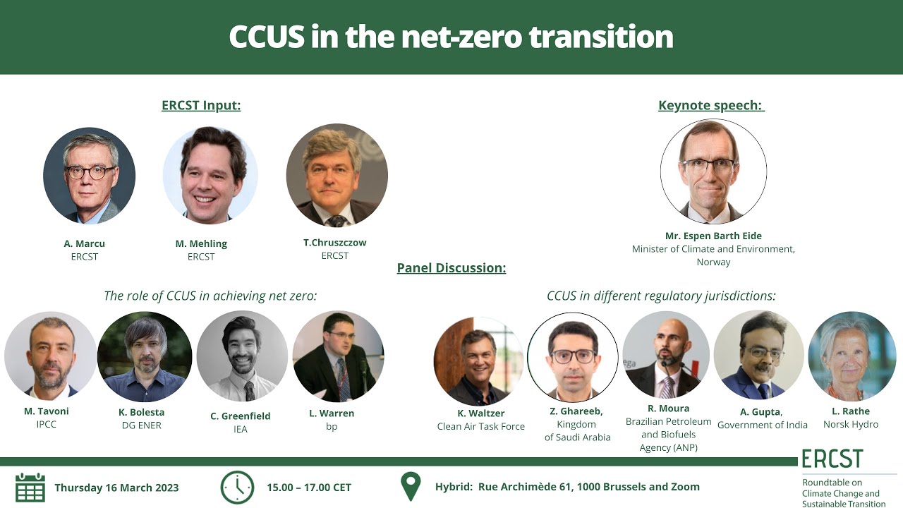 CCUS in the net zero transition