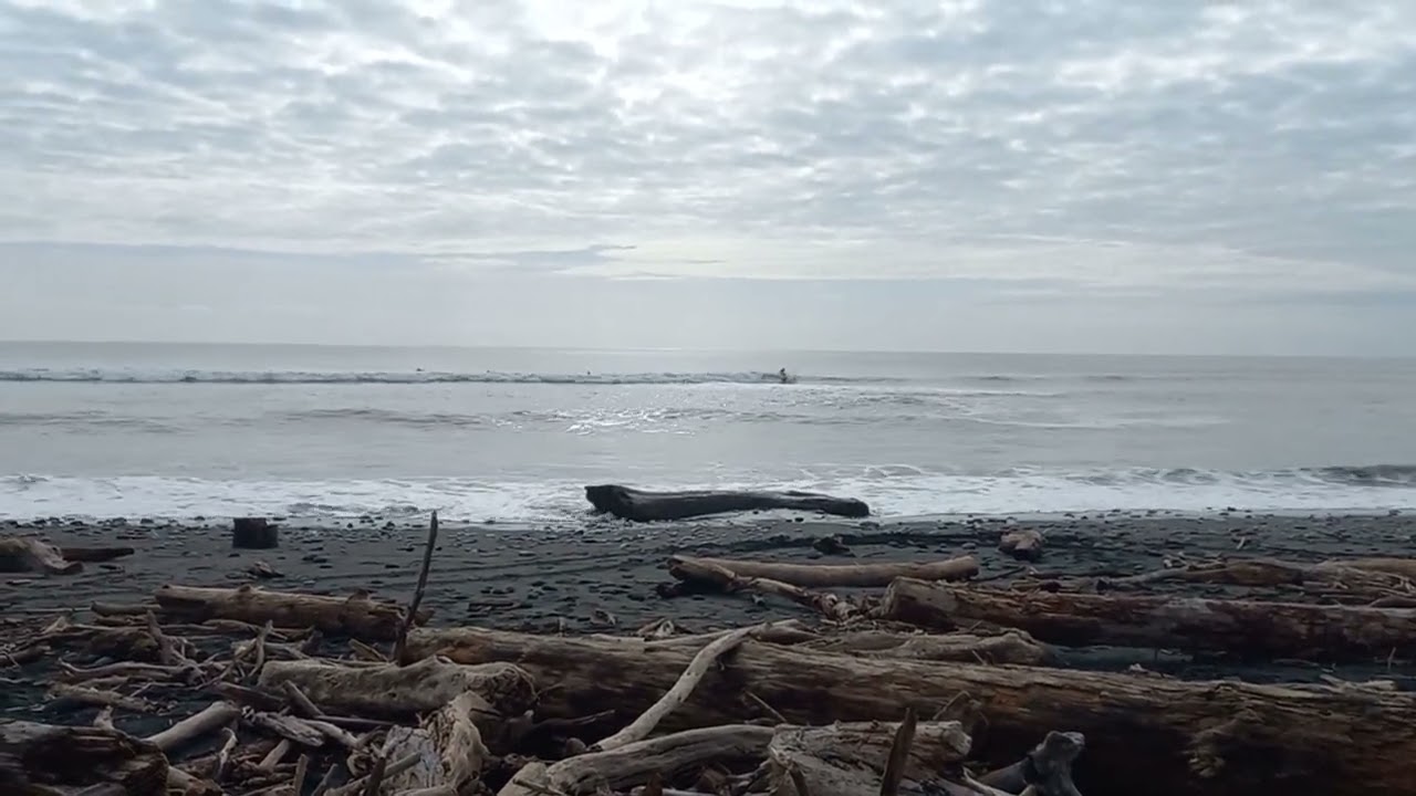 driftwood hut build at the local