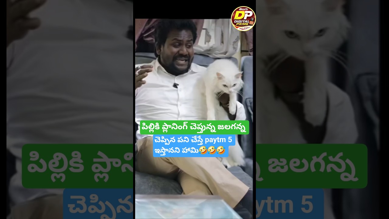 పిల్లితో ప్లానింగ్, cunning జగన్ #ysjagan #ysrcp #ycp #tdp # #naralokesh #jagan #shorts #ytshorts