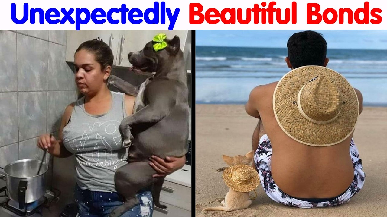 Wholesome “Important Animal Images” That Prove The Human Animal Bond Is Unbreakable (New Pics)