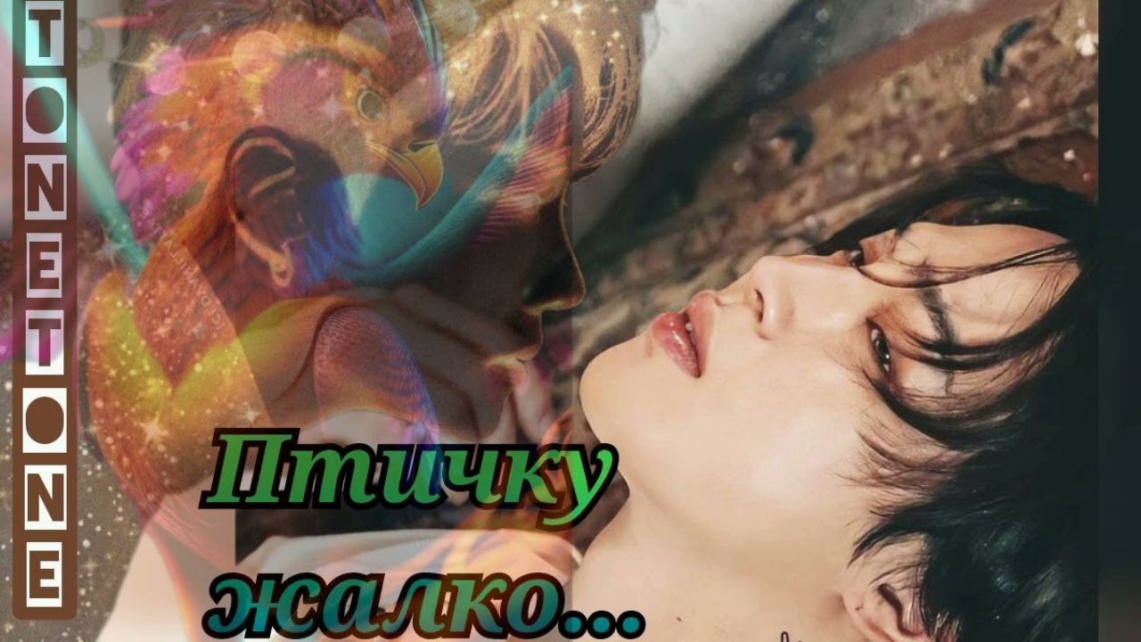 Птичку жалко/лайт Ютуб/TONETONE/#bts #озвучкаbts #фанфикибтс/Cat Wild