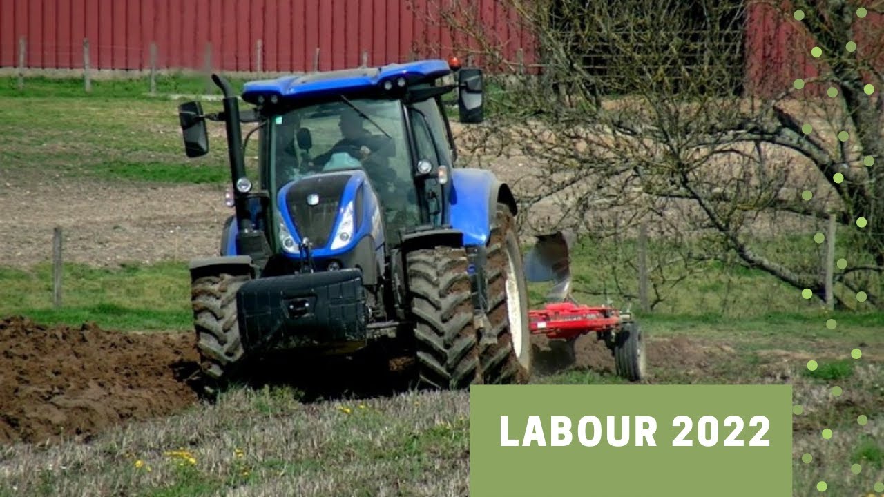 Labour 2022