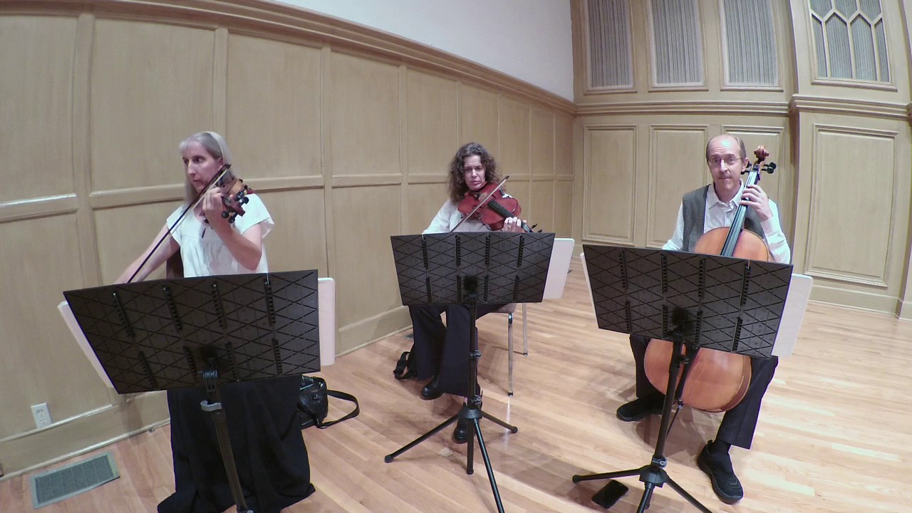 Air from Water Music Suite 1 (Handel) - String Trio Dallas