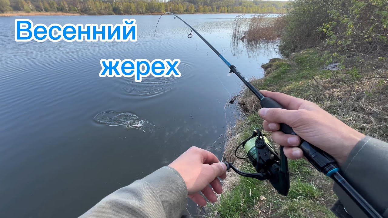 Жерех клюет, как из пулемета🔫 на Шанхае
