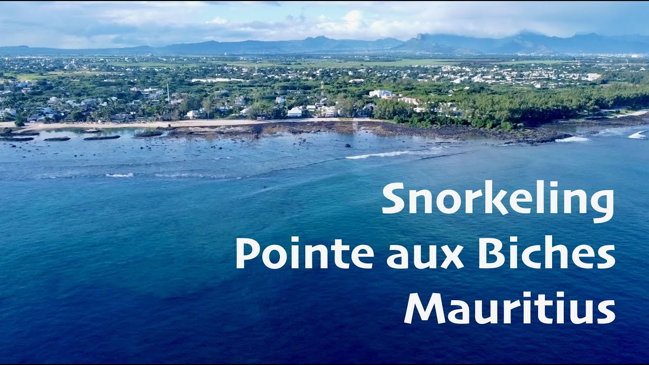 Snorkeling Review - Pointe aux Biches, Mauritius