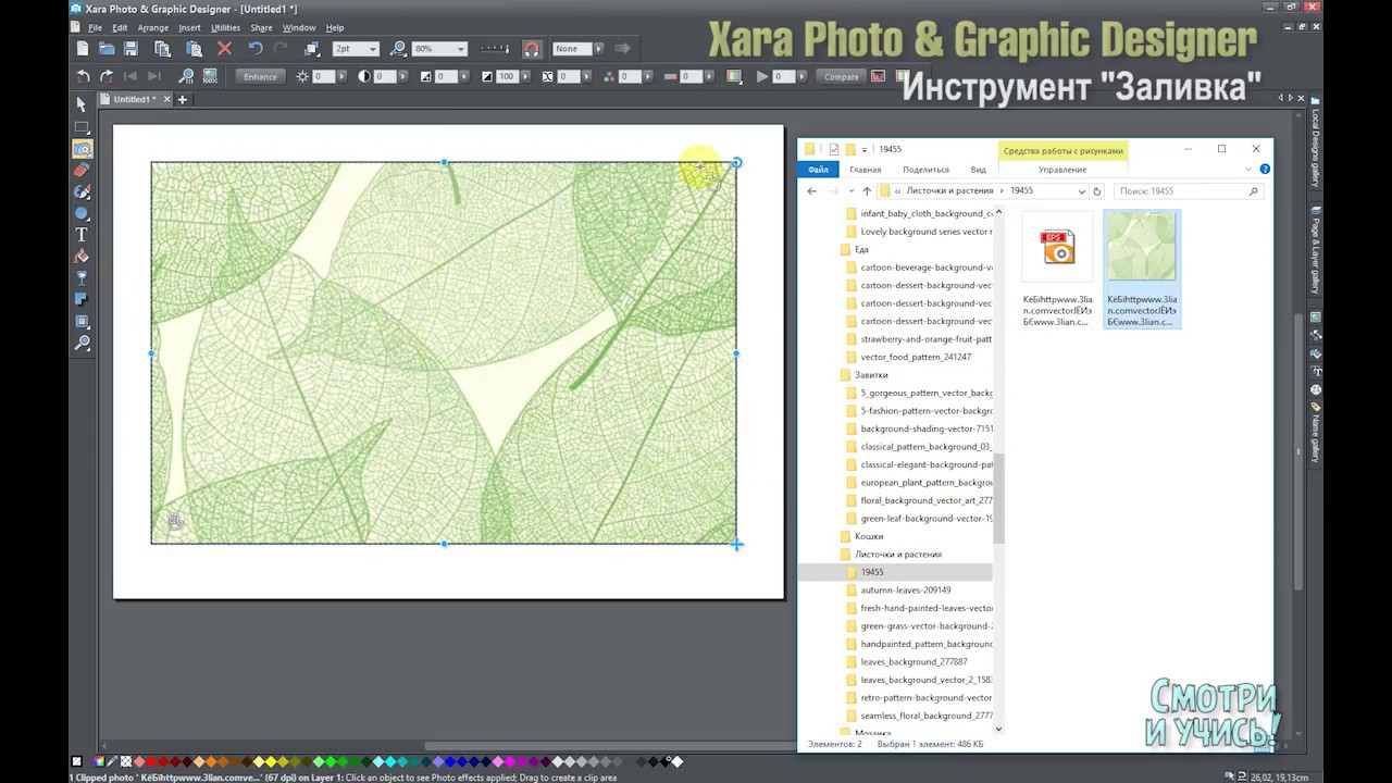 03  Xara Designer   Заливка