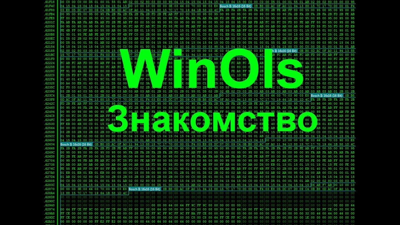 Все о Winols.  Знакомство с программой