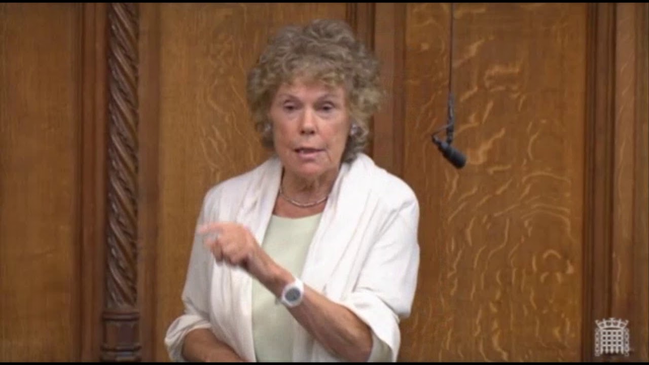 Did Angela Merkel have a copy of the White Paper before MPs?