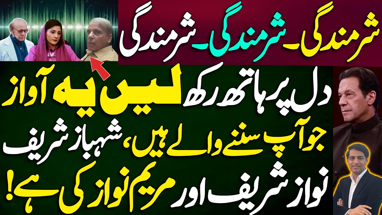 Put your hand on your heart,the  voice you are about to hear is that of Shahbaz,Nawaz & Maryam Nawaz