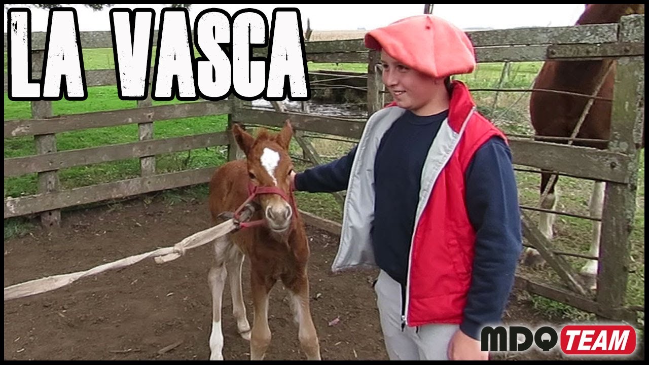 Les presentamos a LA VASCA